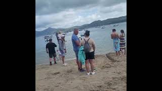 Morfa Nefyn Beach Llyn Peninsular North Wales Aug 2024 [upl. by Sharai]