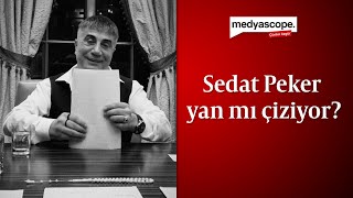 Sedat Peker yan mı çiziyor [upl. by Ahsata]