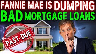 Fannie Mae is Selling Thousands of Non Performing Mortgages  Dont Tell Anyone [upl. by Pytlik438]