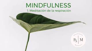 1 Meditación de la Respiración [upl. by Yremogtnom]