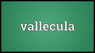 Vallecula Meaning [upl. by Groos]