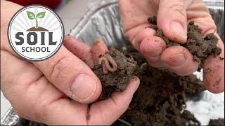 Soil School Evaluating soil health tests [upl. by Alithea]