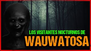 Los Visitantes Nocturnos de Wauwatosa  Misterios [upl. by Namialus]