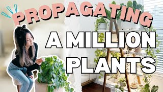 I Propagated a Million Plants at Midnight  Q amp A  Plant Chores  Houseplant Care Routine Tips [upl. by Anaehr]