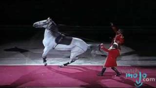 The World Famous Lipizzaner Stallions [upl. by Laughry]