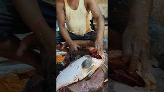 Delicious Giant Grouper Fish Cutting Skills Live In Fish Market  Part1 shorts [upl. by Hillery]