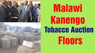 Malawi Kanengo Tobacco Auction Floors  NyasaTV [upl. by Naryk]