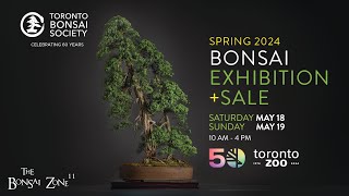 The Toronto Bonsai Societys Spring Show and Sale The Bonsai Zone May 2024 [upl. by Adlen]