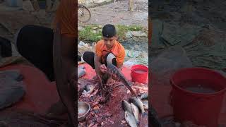 Amazing Big Ruhi Fish Cutting Skills fish fishcuting fishcuttingskill youtubeshorts [upl. by Bosch]