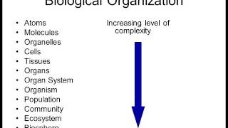 Biology 1010 Lecture 1 Intro to Biology [upl. by Yliram]