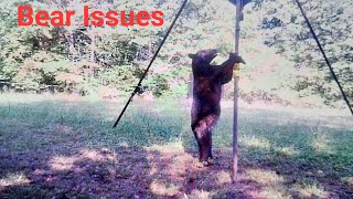 Bear Issues Distroyed Deer Feeder More work to do [upl. by Aihseuqram]