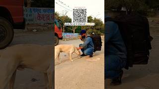 कमलेश जी सेवा 🙏🙏🐕🐶💐💐doglover streetdog pets animls youtubeshorts shots trending [upl. by Gamber]