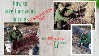 How to Take Hardwood Cuttings in Spring [upl. by Eanad]