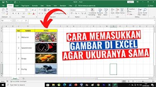 Cara Memasukkan Gambar di Excel Agar Ukurannya Sama [upl. by Wolenik]