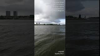 Shorts The Scheldt River amp Monument for Killed Belgian sailors amp Loodswezen Antwerp Belgium [upl. by Ahsirek]