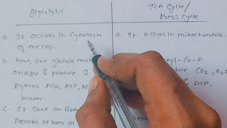 Write difference between glycolysis and Krebs cycle  Glycolysis amp Krebs Cycle ssc msbshse [upl. by Esadnac167]