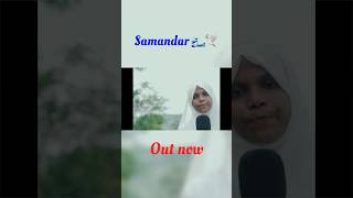 Samandar  Out Now  Prod by DRJ Sohail  SaniyaMq shorts [upl. by Trainer]