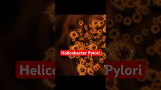 Do You Have Helicobacter Pylori  Symptoms Of Hpylori gastritis helicobacterpylori shorts [upl. by Ecnarf881]