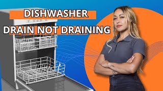 Dishwasher Drain Not Draining [upl. by Anegal522]