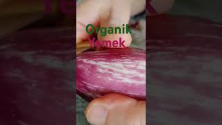 Patlıcan Yemeği 🍆organik yemek patlıcan domates biber soğan şirintasarım [upl. by Thirza]