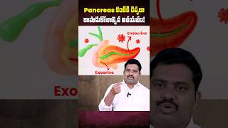 ఈ అవయవంతో ఆటలు వద్దు 🤫 Foods for Pancreas Health  Pancreas Detox pancreas shorts shortsfeed [upl. by Polivy]