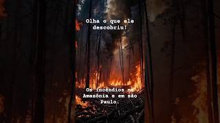 Toda verdade sobre o que está acontecendo nos incêndios [upl. by Warthman]