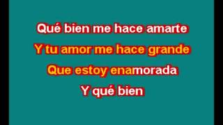 THALIA ESTOY ENAMORADO KARAOKE [upl. by Crawley]