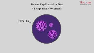 Human Papillomavirus Test – Test amp Technology Hindi [upl. by Atillertse]