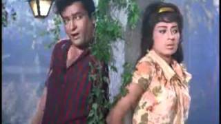 Janam Janam  Shammi Kapoor amp Babita  Tumse Achcha Kaun Haiflv [upl. by Enirehtahc]