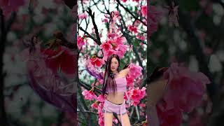 Can you find all Ningning aespa ningning karina kpop kpopedit dancechallenge shortsviral [upl. by Stortz721]