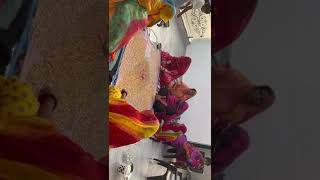 Rajputi Wedding Mangodi Rasam ytshorts short trending [upl. by Drexler]