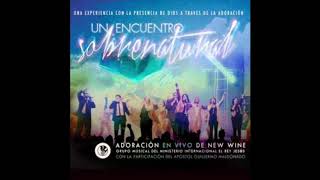 MOVIMIENTO DE GLORIA NEW WINE  Multitrack [upl. by Neelrihs]