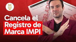 ¿Cómo cancelar un registro de marca IMPI ❌  Pixtor [upl. by Idolem]