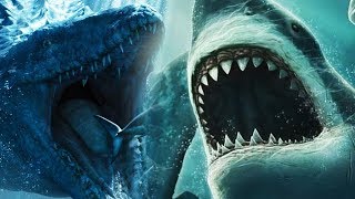 Megalodon Vs Mosasaurus [upl. by Jorgenson]