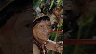 The Brazilian Amazon hosts the largest number of uncontacted tribes in the world [upl. by Anglim]