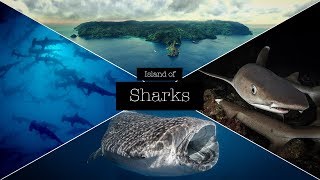 COCOS – THE ISLAND OF SHARKS [upl. by Reiner]