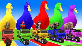 5 Giant Duck CartoonCowElephantGiraffeTigerLion Paint Wild Animals Crossing Fountain Animation [upl. by Gerardo]