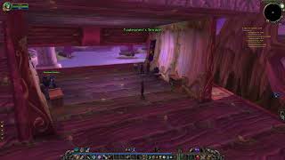 Waylaid Supplies Healing Potions Night Elf WoW SoD [upl. by Arlene]