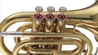 Vivaldi  Concerto for 2 Trumpets in C Major RV 537 [upl. by Atnauqal]