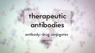 Therapeutic antibodies Part 3 antibodydrug conjugates [upl. by Furgeson]