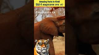 😍Amazing Facts in Hindi हिंदी में आश्चर्यजनक तथ्य 7 [upl. by Zaraf]