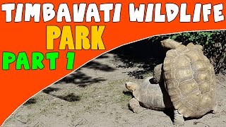 Timbavati Wildlife Park  Wisconsin Dells Part 1 [upl. by Attenov]