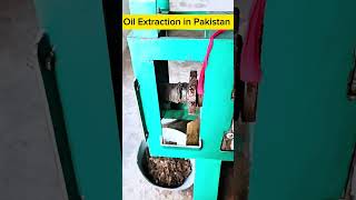 Canola Oil extraction Pakistan Oil extraction plant [upl. by Madlen]