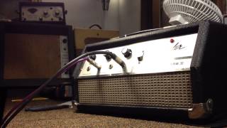 Fender Echo Reverb Tel Ray oil can delay [upl. by Paterson]