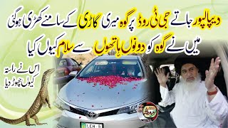 Allama Hafiz Khadim Hussain Rizvi  Dipalpur Jate Goh Meri Car Ke samne A gai  Goh Ko Salam HD [upl. by Jak632]