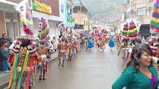 negritos de huanuco huallayco vida [upl. by Nilorac]