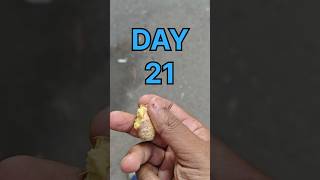 DAY 21 CARDIO SIMPLEampSWEET motivation fitness minivlog vlog training sports youtubeshorts [upl. by Ahsayn]