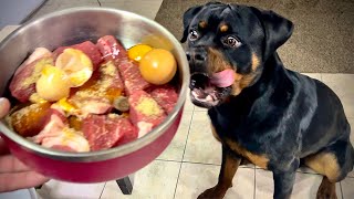 Unbelievable Rottweiler Puppy Goes RAW – You Wont Believe What Happens Next [upl. by Htebaile]