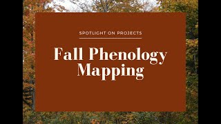 Spotlight on Projects Fall Phenology Mapping [upl. by Sellihca602]