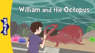 William and the Octopus  Science  Animals  Little Fox  Bedtime Stories [upl. by Circosta132]